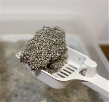 进口钠基石矿砂真实测评:结团除臭表现如何?优缺点全面解析 进口钠基石矿砂真实测评:结团除臭表现如何?优缺点全面解析