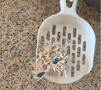 糖果混合猫砂深度测评：除臭与结团性能究竟如何？