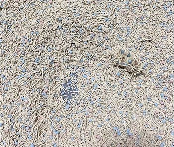 糖果混合猫砂深度测评：除臭与结团性能究竟如何？