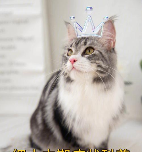 慢性细小症状全解读与治疗关键:从皮肤到神经的全面指南 慢性细小症状全解读与治疗关键:从皮肤到神经的全面指南