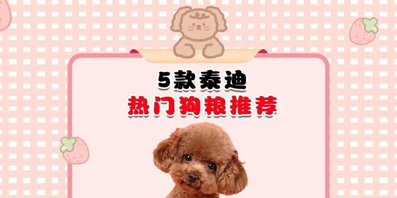 泰迪犬产后饮食指南：科学喂养助宝宝健康成长