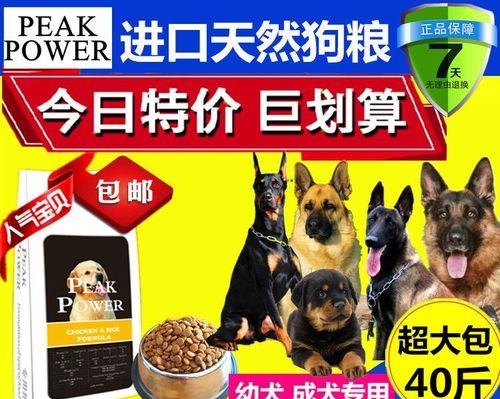 小马犬不能吃的食物清单,这些常见食物千万别喂 小马犬不能吃的食物清单,这些常见食物千万别喂