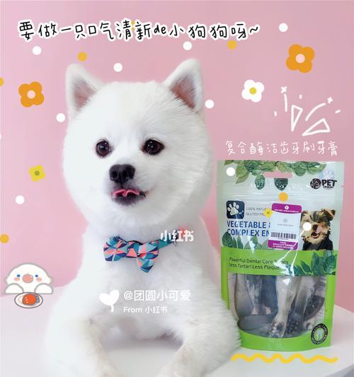 博美牙齿发黄口臭原因与解决方法，恢复狗狗牙齿健康光泽