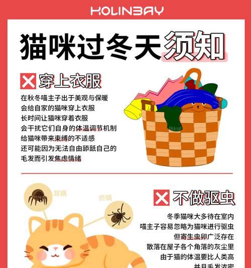 猫咪驱虫禁忌与注意事项，这些情况需谨慎