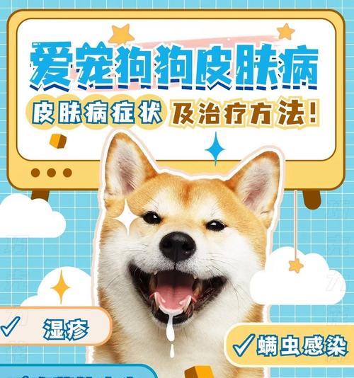 狗狗真菌皮肤病饮食指南:营养搭配与天然食材缓解症状 狗狗真菌皮肤病饮食指南:营养搭配与天然食材缓解症状