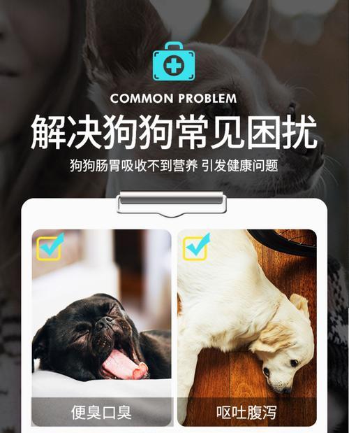 博美牙齿发黄口臭原因与解决方法，恢复狗狗牙齿健康光泽