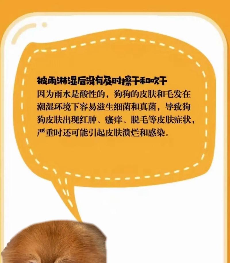狗狗真菌皮肤病饮食指南:营养搭配与天然食材缓解症状 狗狗真菌皮肤病饮食指南:营养搭配与天然食材缓解症状