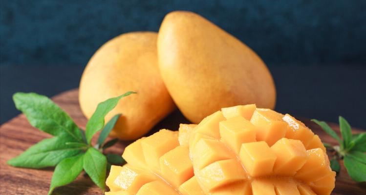 泰迪幼犬适合吃哪些水果?15种健康选择助力成长 泰迪幼犬适合吃哪些水果?15种健康选择助力成长