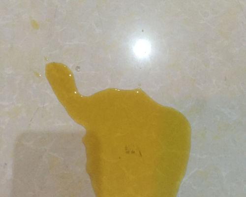 狗狗尿液颜色揭示健康秘密:如何通过观察判断潜在疾病 狗狗尿液颜色揭示健康秘密:如何通过观察判断潜在疾病