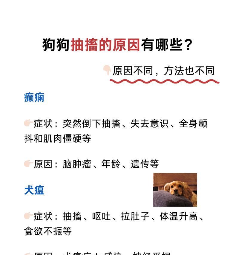 常见犬种易患疾病分析,不同品种狗狗的健康隐患 常见犬种易患疾病分析,不同品种狗狗的健康隐患