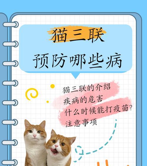 小猫拉稀常见原因与治疗方法，守护猫咪肠道健康
