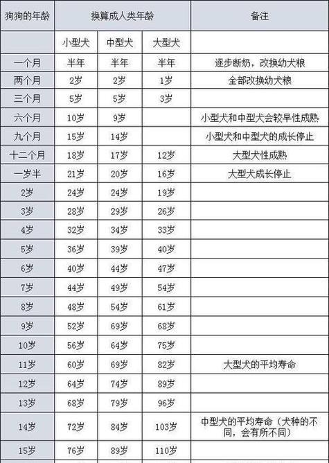 狗为什么老得快？解析犬类快速衰老的遗传与生理原因