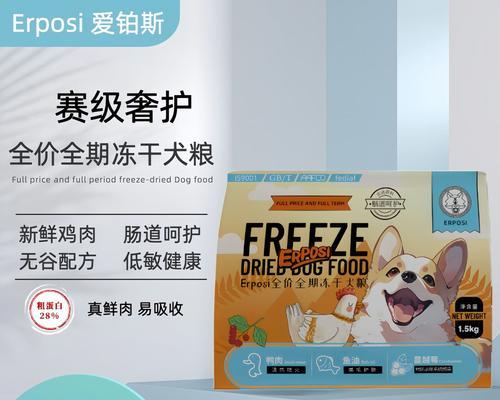 泰迪幼犬饮食指南：除了狗粮还能吃哪些营养食物