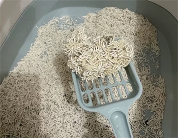 混合猫砂测评:结团慢粘底除臭差,安全性是唯一亮点? 混合猫砂测评:结团慢粘底除臭差,安全性是唯一亮点?