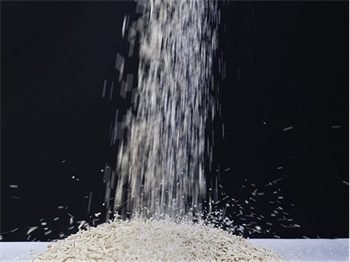 混合猫砂结团效果实测：粉尘少包裹强，但这两点需注意