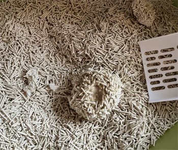 混合猫砂结团效果实测：粉尘少包裹强，但这两点需注意