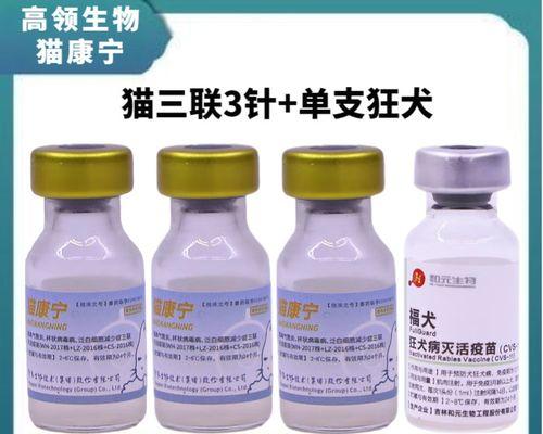 狗狗疫苗种类与接种全指南,科学保护爱犬健康 狗狗疫苗种类与接种全指南,科学保护爱犬健康