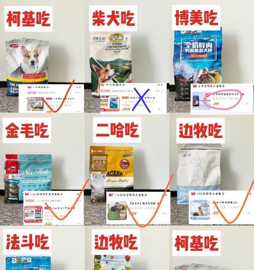 博美拉肚子饮食原因与预防指南,守护爱犬肠胃健康 博美拉肚子饮食原因与预防指南,守护爱犬肠胃健康