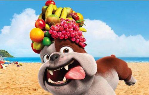 狗为何不能吃人？进化、天性与共生关系深度解析