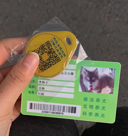 狗户口办理指南:所需证件与条件要求详解 狗户口办理指南:所需证件与条件要求详解