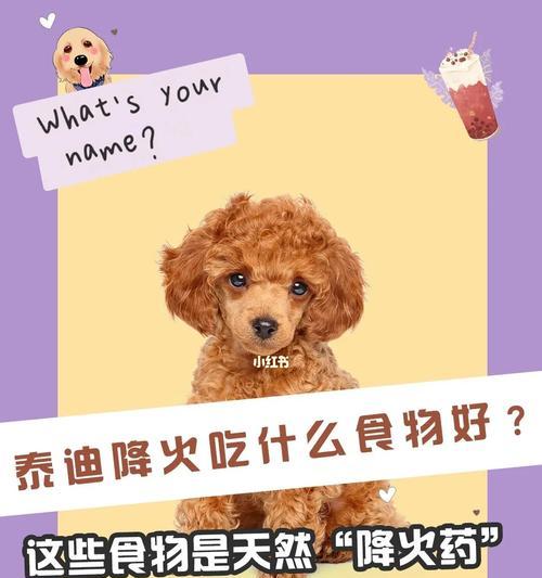 泰迪犬科学喂养全攻略:营养均衡促进健康与毛发养护 泰迪犬科学喂养全攻略:营养均衡促进健康与毛发养护