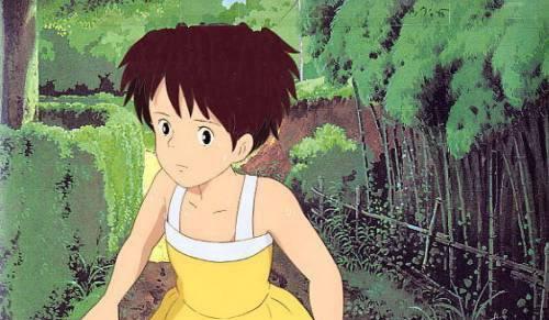 龙猫抗生素使用指南:安全用药与常见误区解析 龙猫抗生素使用指南:安全用药与常见误区解析