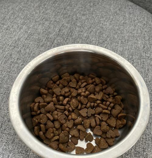 泰迪犬科学喂养全攻略:营养均衡促进健康与毛发养护 泰迪犬科学喂养全攻略:营养均衡促进健康与毛发养护