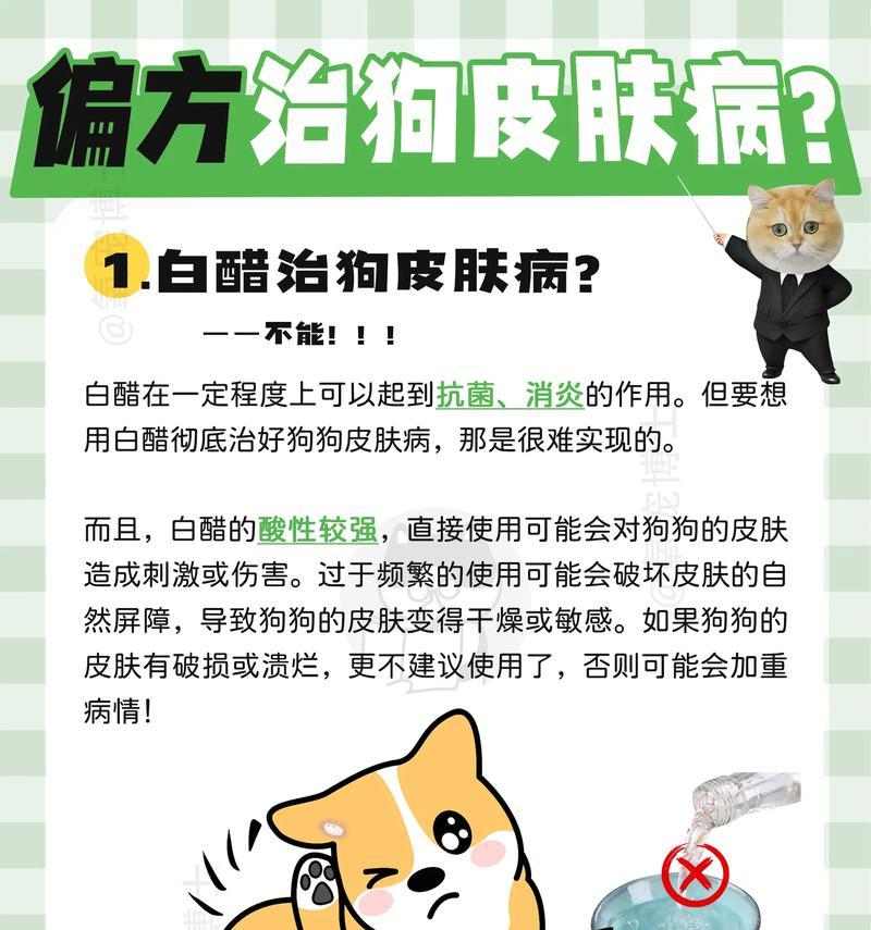 幼犬皮肤病预防药物全攻略，如何选择合适护理产品