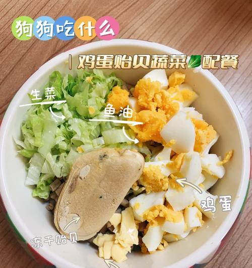 狗狗饮食营养指南：科学搭配关键营养素保障健康生活