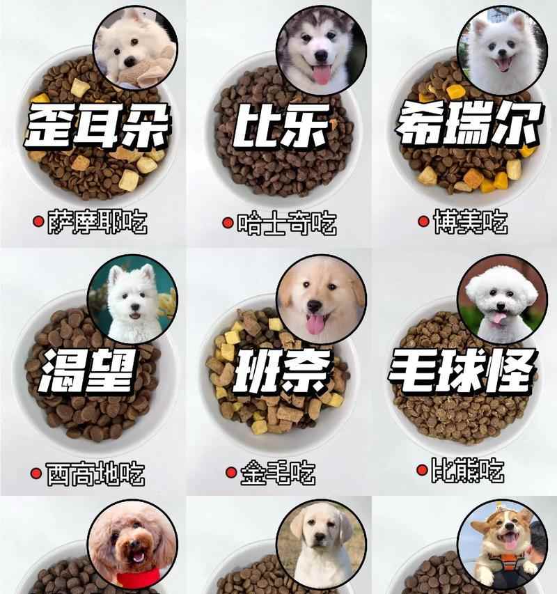狗狗饮食营养指南：科学搭配关键营养素保障健康生活