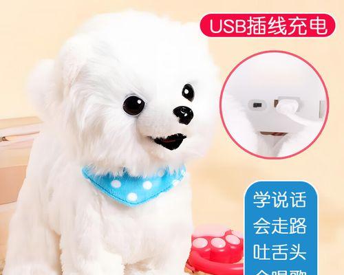 从狗舔狗行为看友谊与信任的真谛：忠诚互助的启示