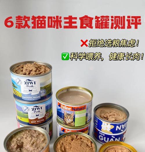 猫咪营养不良症状解读与饮食调理指南,助力爱宠恢复健康 猫咪营养不良症状解读与饮食调理指南,助力爱宠恢复健康