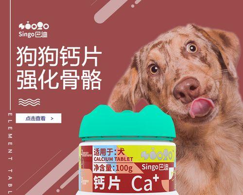 狗狗补钙全解析:从幼犬骨骼发育到老年犬关节护理 狗狗补钙全解析:从幼犬骨骼发育到老年犬关节护理