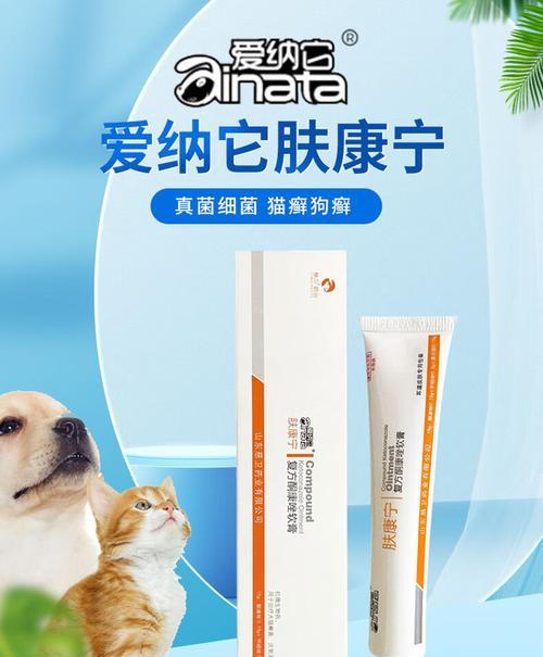 猫咪外伤消炎处理全攻略：正确护理与预防技巧详解