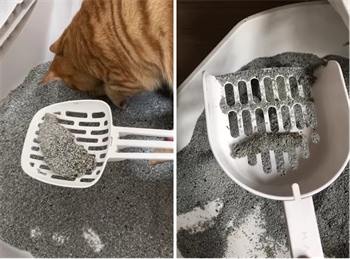 矿砂猫砂好用吗？实测告诉你细腻脚感与除臭效果