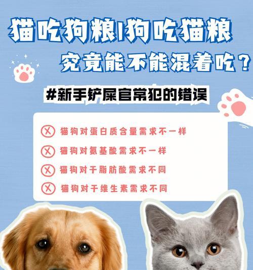犬粮为何成为狗狗主食？全面解析健康养宠之道