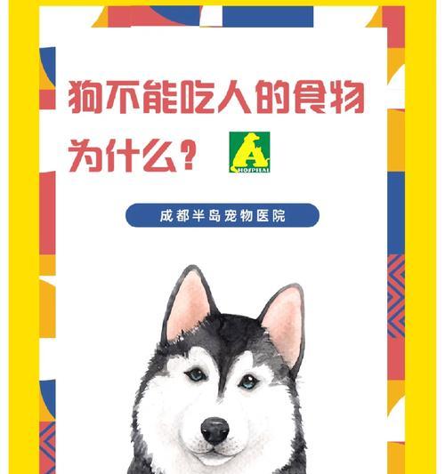犬粮为何成为狗狗主食？全面解析健康养宠之道