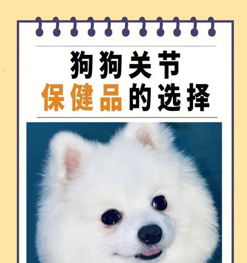 狗狗服用葡萄糖的正确时机与关键用途，宠物能量补充指南