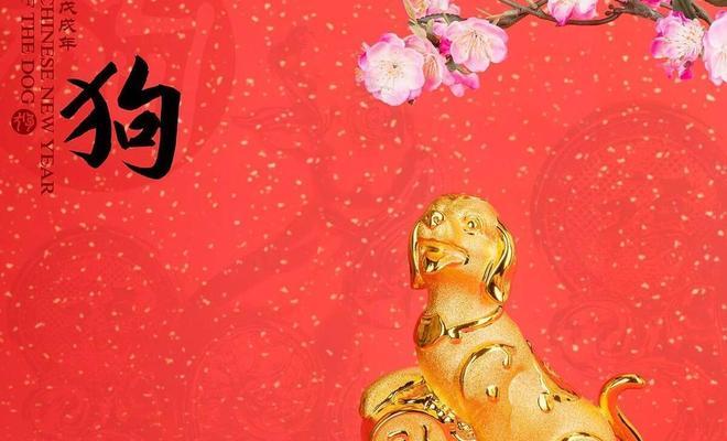 根据出生时间选择狗狗指南：匹配性格与需求的实用建议