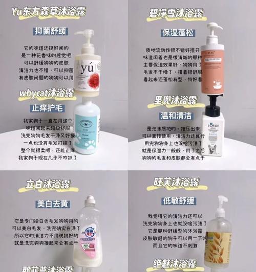 狗狗流产后洗澡护理指南与注意事项详解