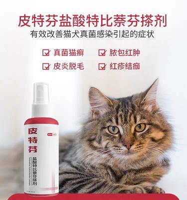 狗皮肤真菌治疗药物如何选择？预防与用药全指南