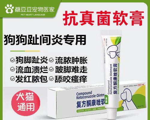 狗皮肤真菌治疗药物如何选择？预防与用药全指南