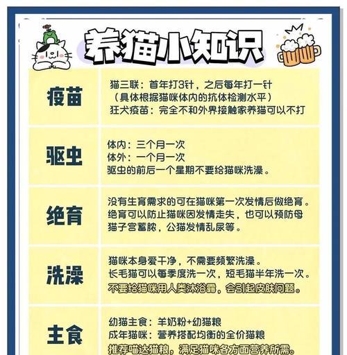 新手养猫必备指南:注意事项与日常照顾技巧详解 新手养猫必备指南:注意事项与日常照顾技巧详解