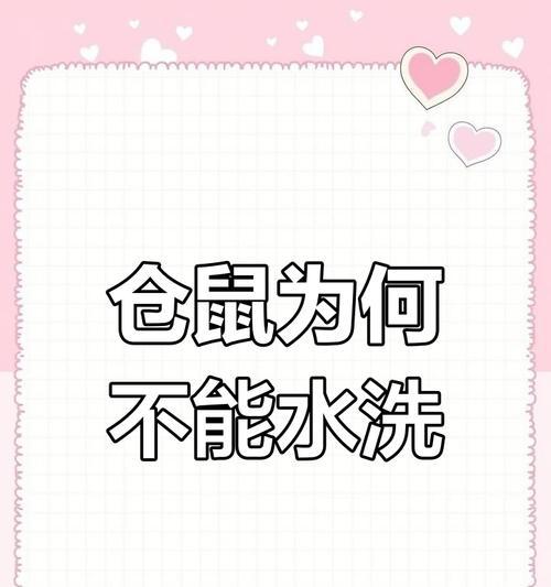 仓鼠洗澡频率指南与注意事项，科学养护宠物健康