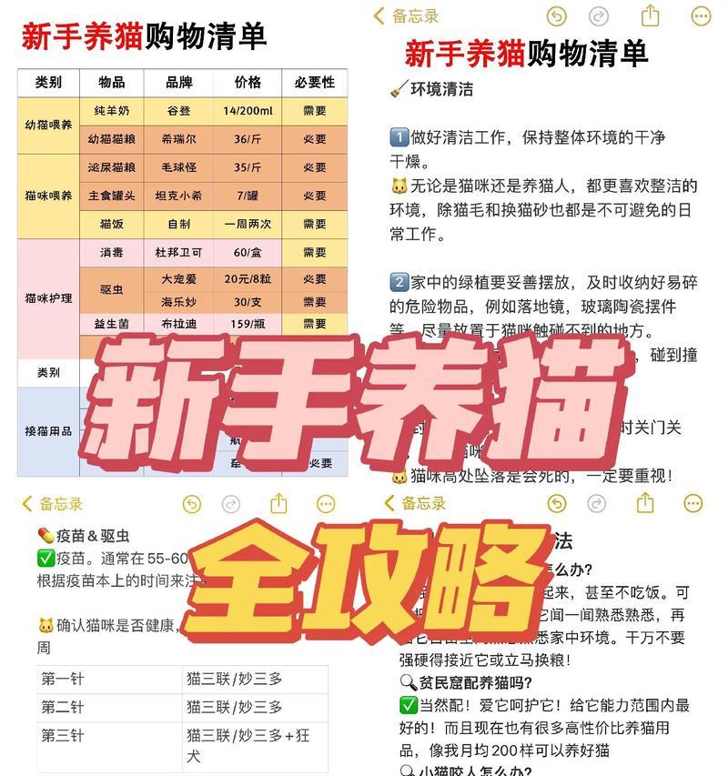 新手养猫必备指南:注意事项与日常照顾技巧详解 新手养猫必备指南:注意事项与日常照顾技巧详解