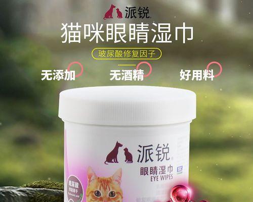 狗狗泪痕饮食改善指南：通过食物选择减轻眼部问题