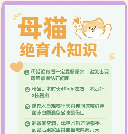 母猫绝育术后护理全攻略:恢复要点与并发症预防 母猫绝育术后护理全攻略:恢复要点与并发症预防