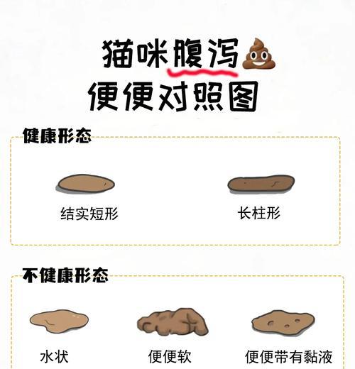 猫咪便便判断图:如何通过排便判断健康状况 猫咪便便判断图:如何通过排便判断健康状况