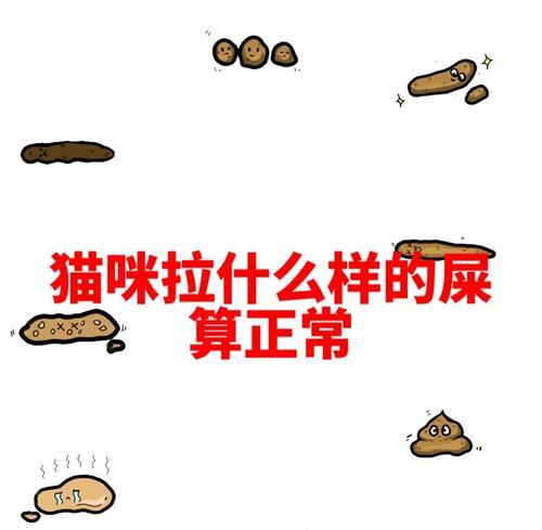 猫咪便便判断图:如何通过排便判断健康状况 猫咪便便判断图:如何通过排便判断健康状况