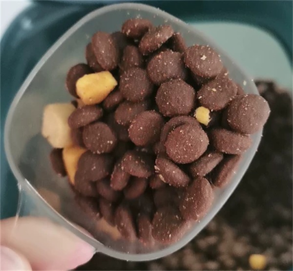 鸭肉梨狗粮真的能缓解泪痕吗?成分实测与选购要点解析 鸭肉梨狗粮真的能缓解泪痕吗?成分实测与选购要点解析